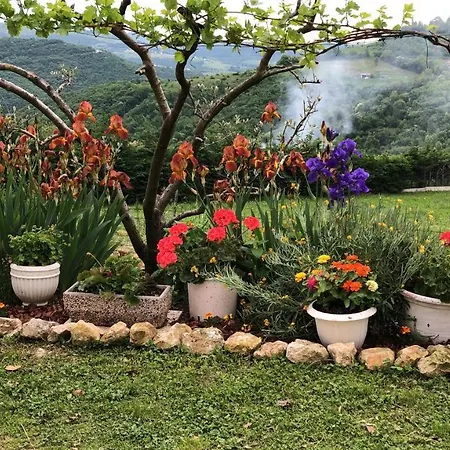 Ai Sette Noci Bed and breakfast 3*